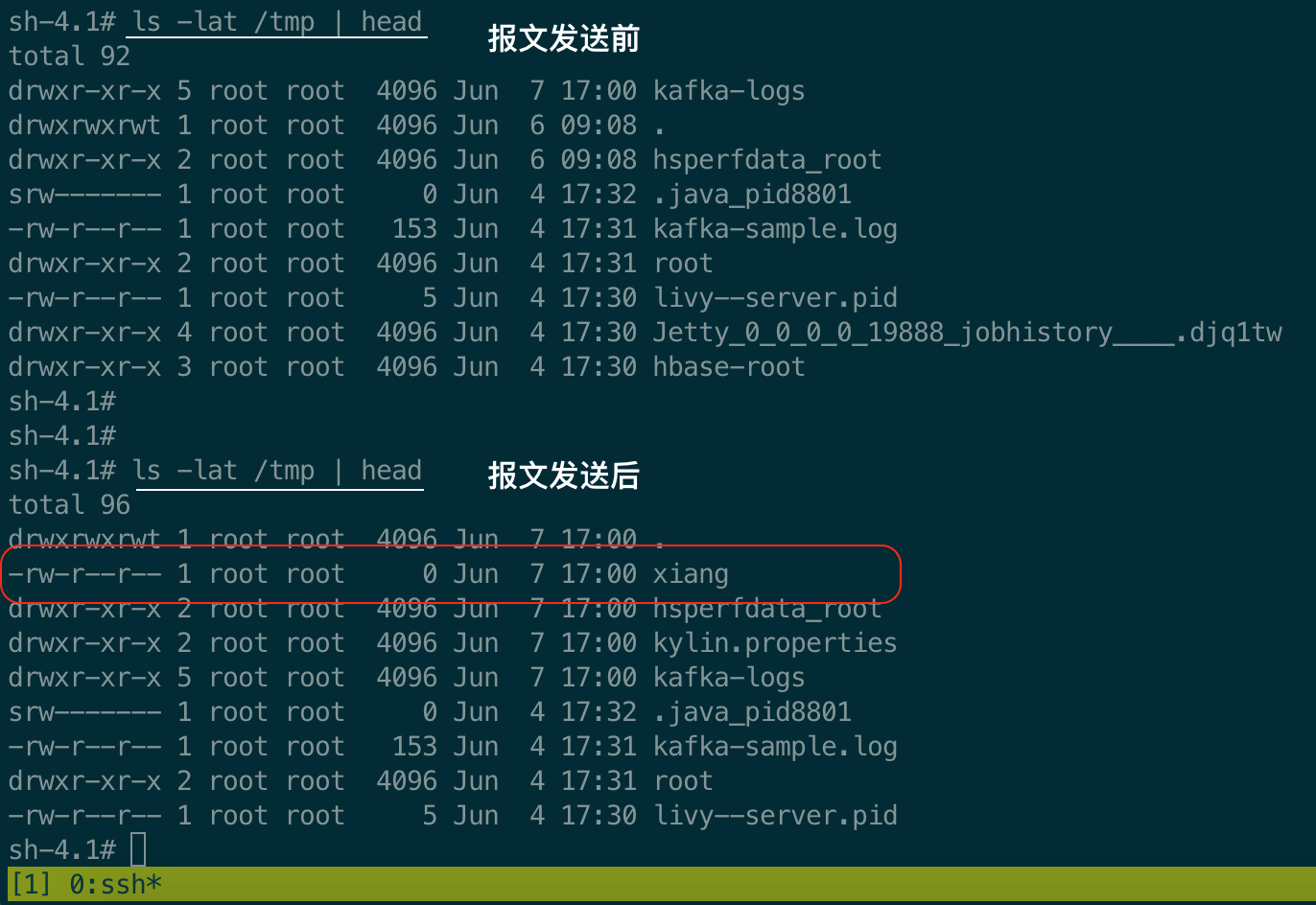 touch-file-success